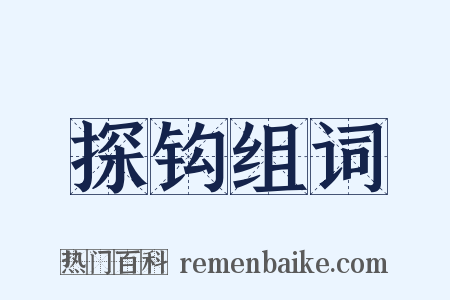 探钩组词是什么意思的图片